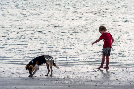 A small boy and his dog digging in the sand on a tropical island beach at low tide with their feet. Bwejuu, Echo Beach, Unguja Island, Zanzibar, Tanzania.
