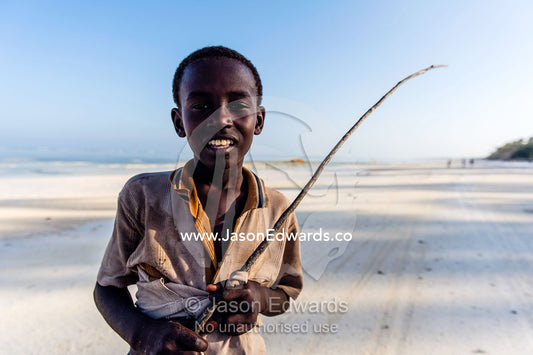 A young boy with his cane herding his family cattle along a deserted beach on a tropical island. Bwejuu, Echo Beach, Unguja Island, Zanzibar, Tanzania.