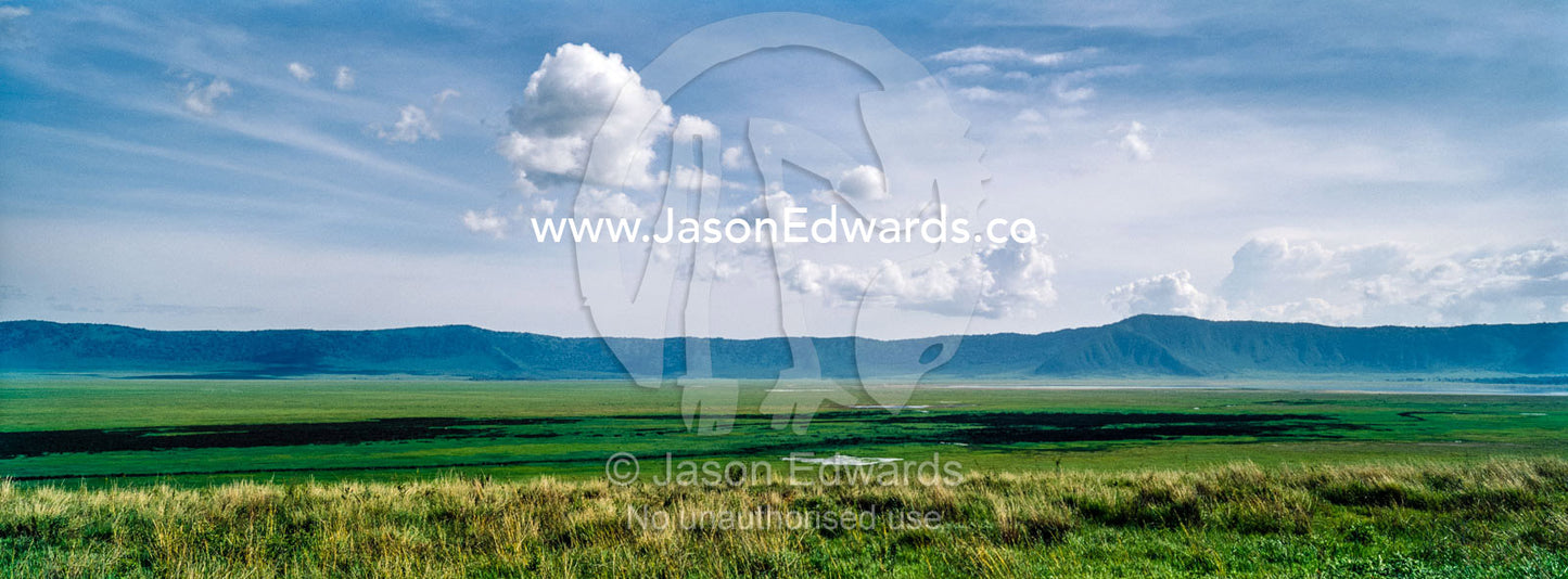 A volcano caldera surrounds a vast and lush short grass savannah plain. Ngorongoro Crater, Ngorongoro Conservation Area, Ngorongoro District, Tanzania.