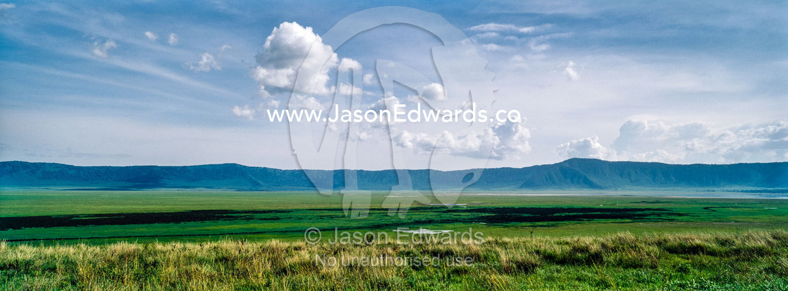 A volcano caldera surrounds a vast and lush short grass savannah plain. Ngorongoro Crater, Ngorongoro Conservation Area, Ngorongoro District, Tanzania.