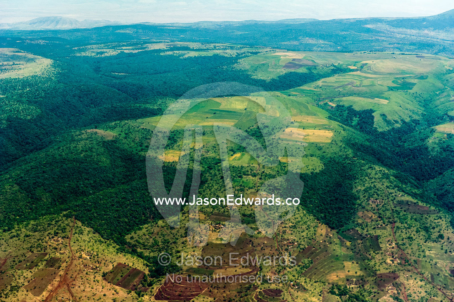 Terraced farm fields cover the slopes of mountains cleared of rainforest. Arusha Region, Arusha District, Tanzania.
