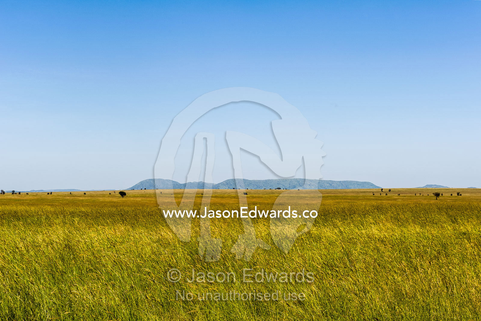 Low hills rise from the horizon above a sea of grass on the savannah plain. Serengeti National Park, Serengeti, World Heritage Site, Tanzania.