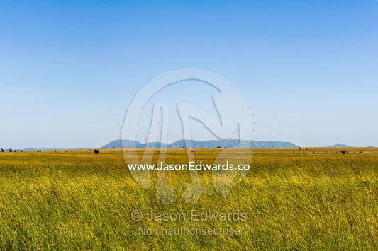 Low hills rise from the horizon above a sea of grass on the savannah plain. Serengeti National Park, Serengeti, World Heritage Site, Tanzania.