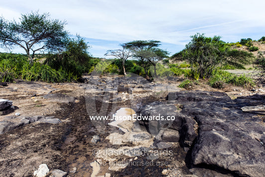 Muddy puddles dwindling beside eroded rocks in a dry river bed. Olduvai Gorge, Ngorongoro Conservation Area, Serengeti Plains, Arusha District, Tanzania.