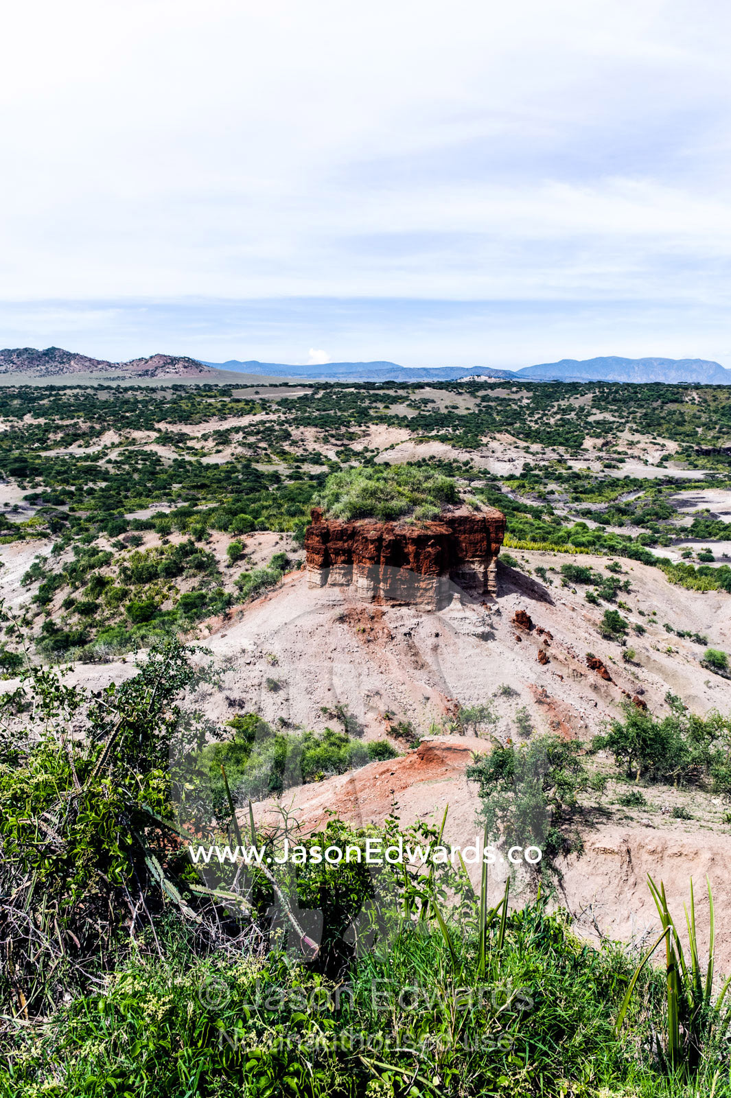 An arid gorge where the ancient remains of human ancestors have been found during archaeological excavations. Olduvai Gorge, Ngorongoro Conservation Area, Serengeti Plains, Arusha District, Tanzania.