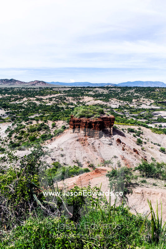 An arid gorge where the ancient remains of human ancestors have been found during archaeological excavations. Olduvai Gorge, Ngorongoro Conservation Area, Serengeti Plains, Arusha District, Tanzania.