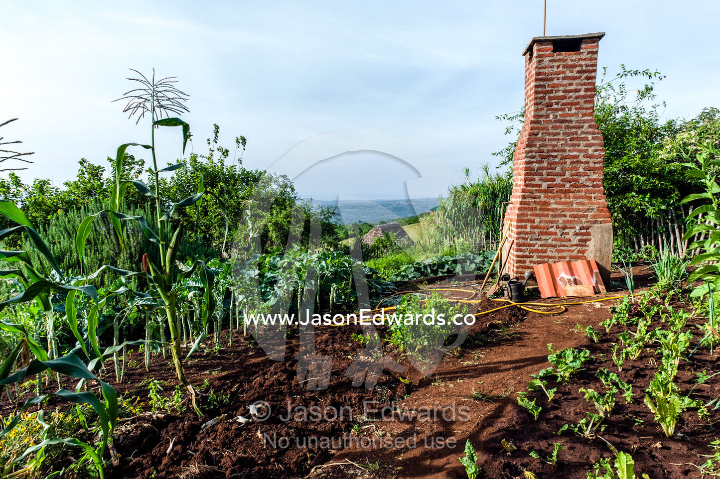 A chimney rises from an organic vegetable garden on a hillside of rich volcanic soil. Karatu, Rhotia Valley Lodge, Rhotia Valley, Karatu District, Arusha Region, Tanzania.
