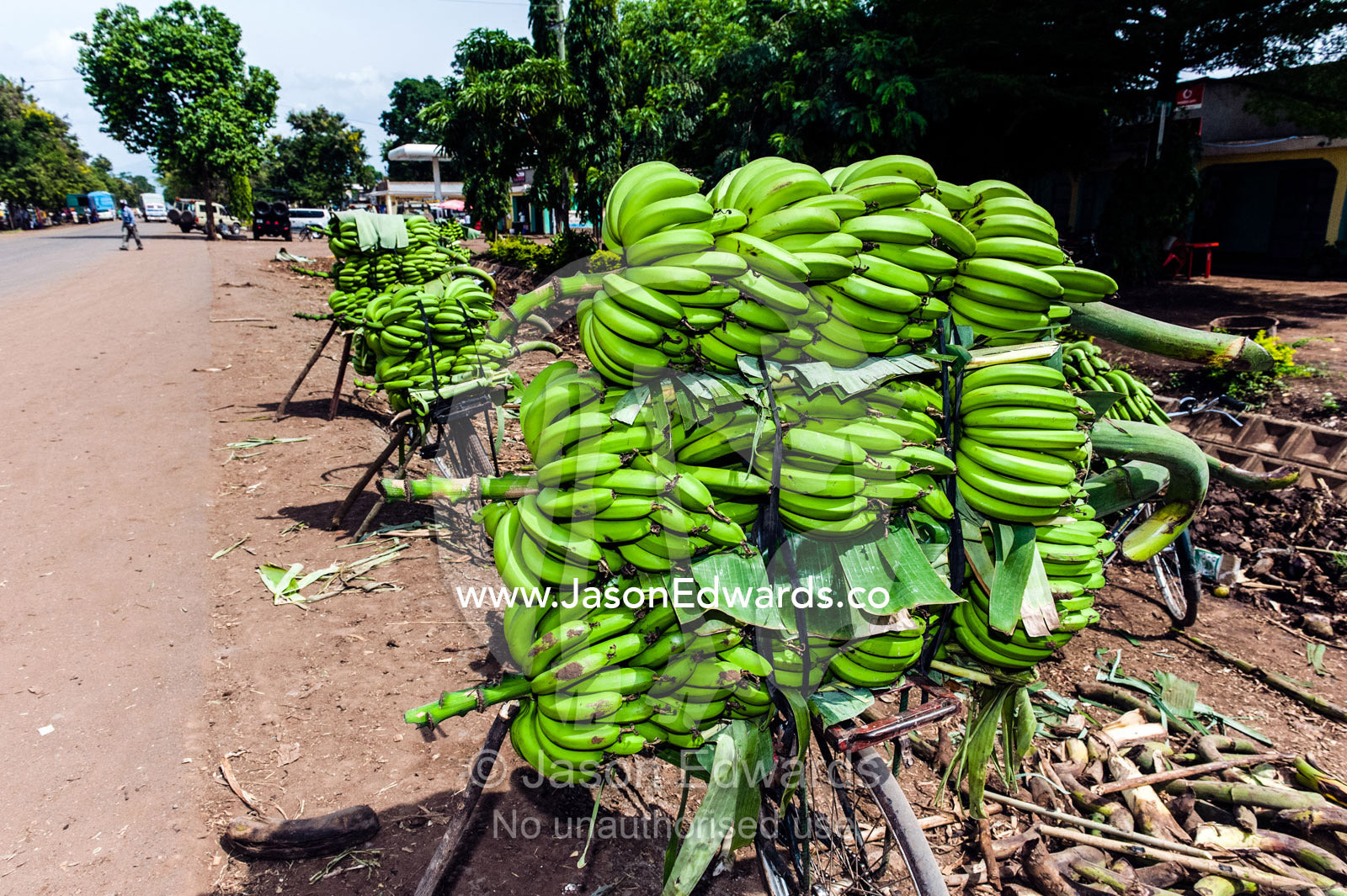 Bunches of ripe bananas for sale on the back of bicycles at a roadside market. Mto Wa Mbu, Lake Manyara National Park, Monduli District, Arusha Region, Tanzania.