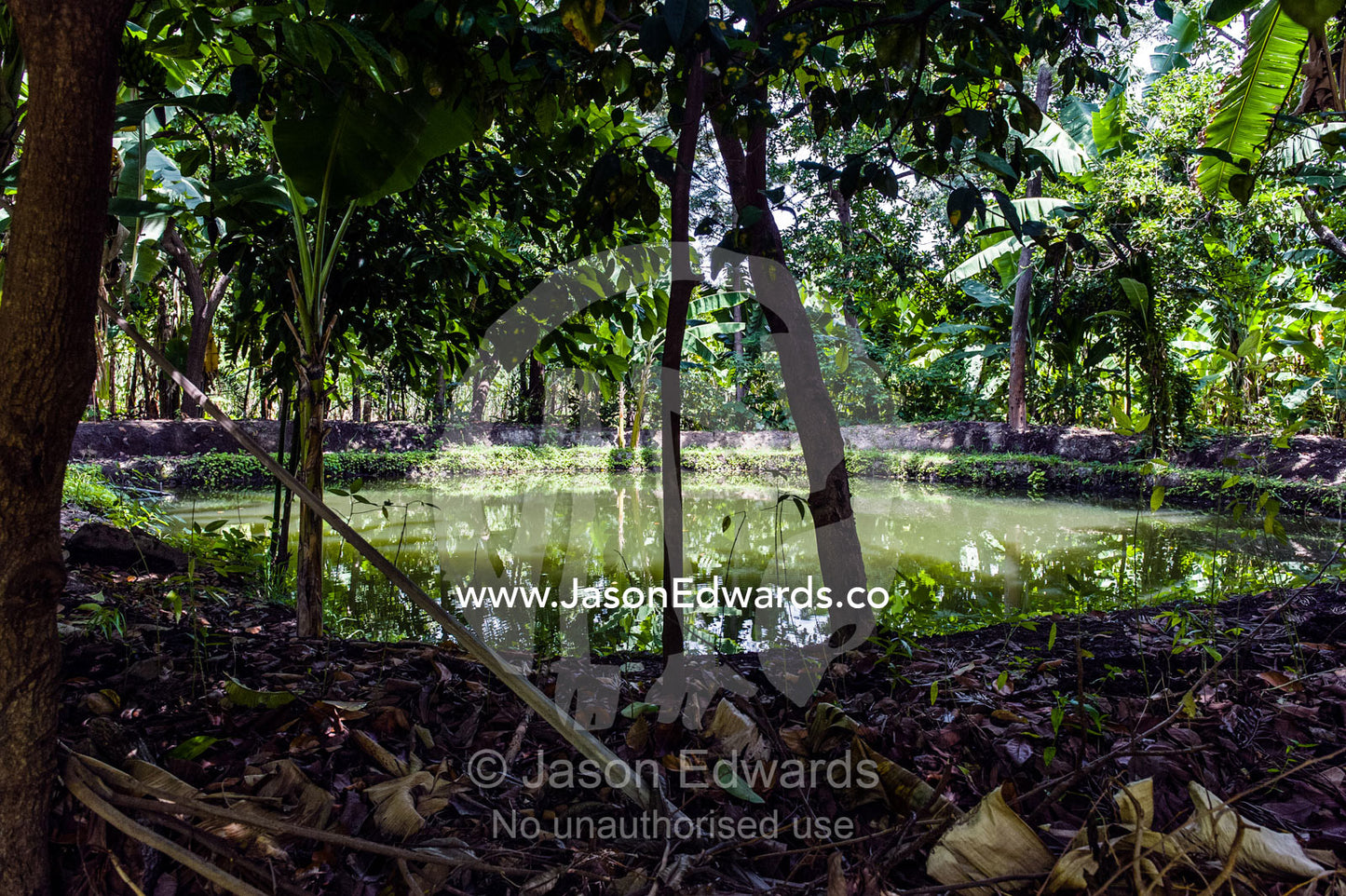 A freshwater dam used to irrigate a banana plantation. Mto Wa Mbu, Lake Manyara National Park, Monduli District, Arusha Region, Tanzania.