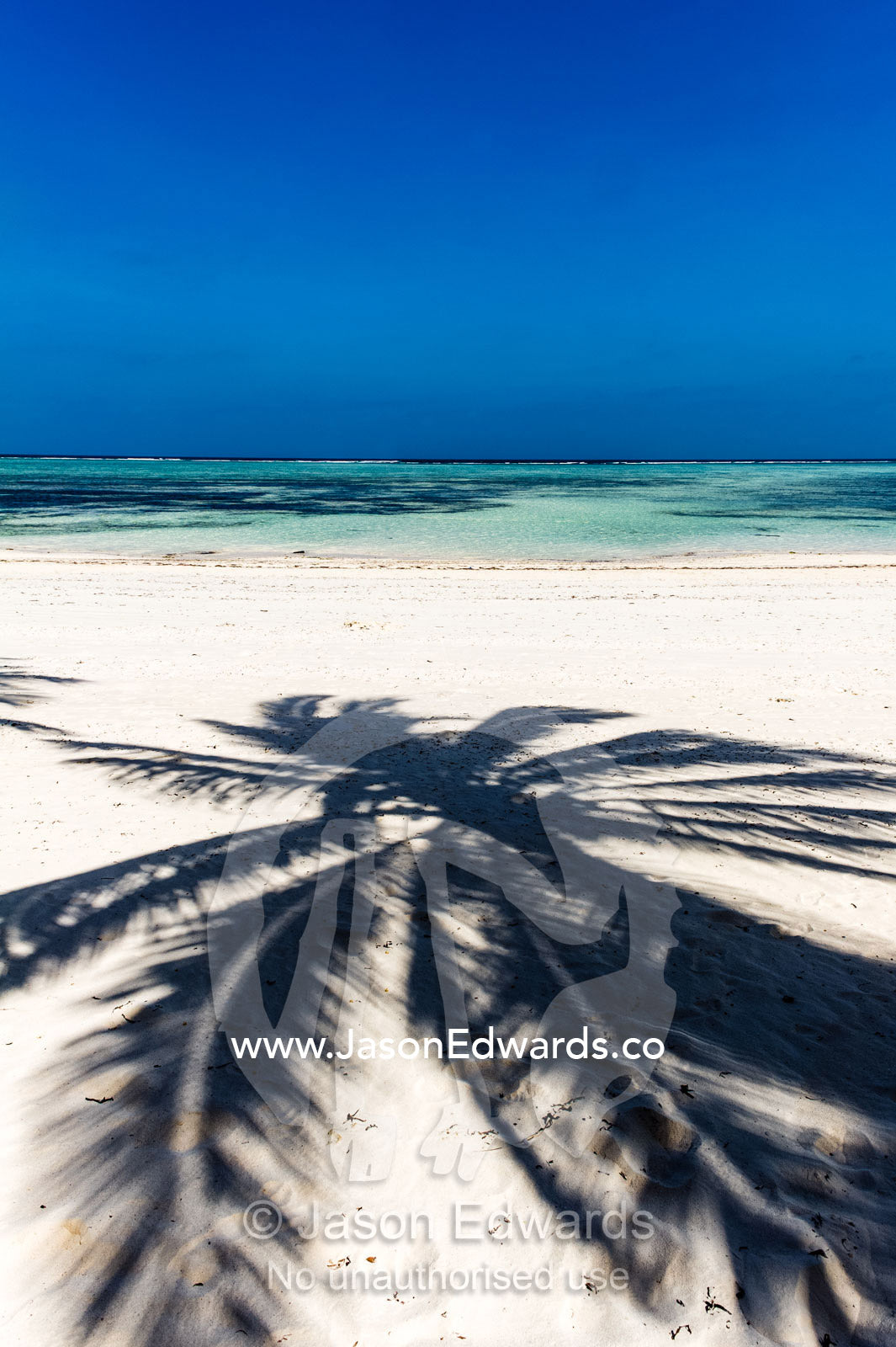 The shadow of palm tree fronds on a pristine tropical island beach overlooking the turquoise waters of the Indian Ocean. Bwejuu, Echo Beach Hotel, Echo Beach, Unguja Island, Zanzibar, Tanzania.