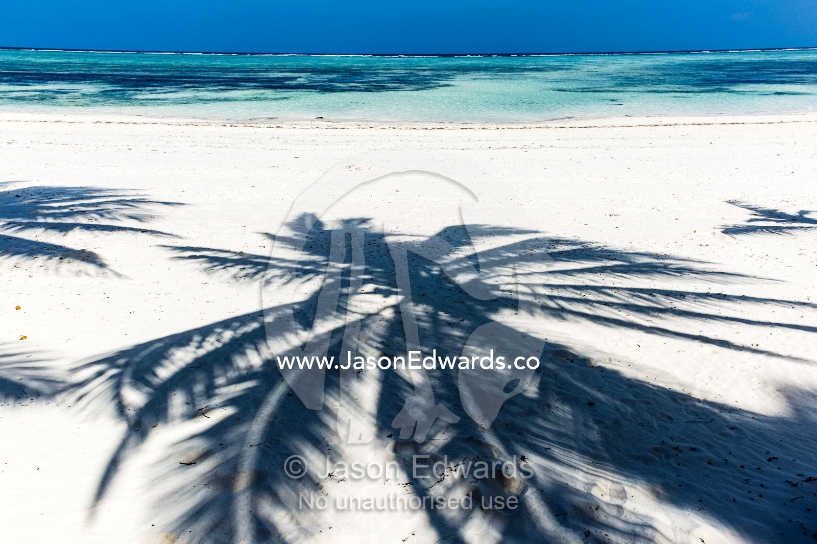 The shadow of palm tree fronds on a pristine tropical island beach overlooking the turquoise waters of the Indian Ocean. Bwejuu, Echo Beach Hotel, Echo Beach, Unguja Island, Zanzibar, Tanzania.