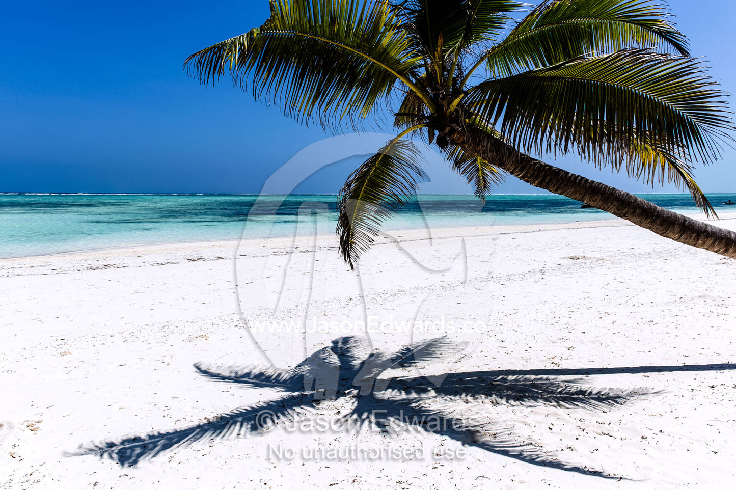The shadow of palm tree fronds on a pristine tropical island beach overlooking the turquoise waters of the Indian Ocean. Bwejuu, Echo Beach Hotel, Echo Beach, Unguja Island, Zanzibar, Tanzania.