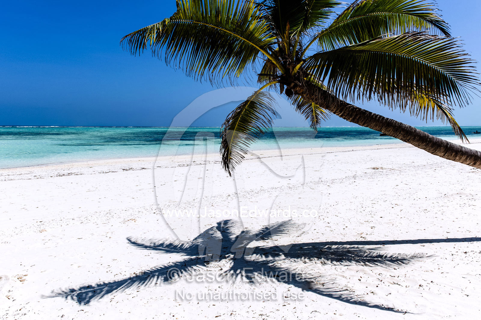 The shadow of palm tree fronds on a pristine tropical island beach overlooking the turquoise waters of the Indian Ocean. Bwejuu, Echo Beach Hotel, Echo Beach, Unguja Island, Zanzibar, Tanzania.