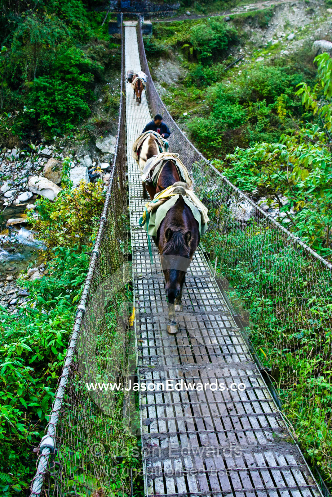 A villager crosses a suspension bridge between mountains with his pack mule train. Gasa, Gasa Dzongkhag District, Bhutan.