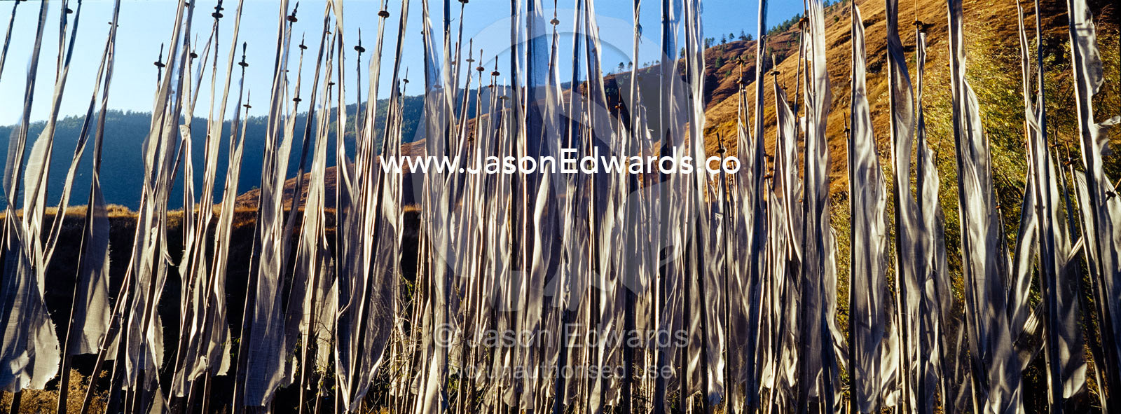 An alpine meadow full of prayer flags fluttering in the wind beneath a clear blue sky. Thimphu, Thimphu District, Bhutan.