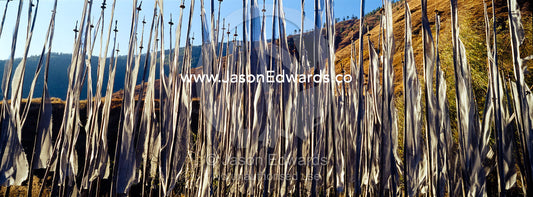 An alpine meadow full of prayer flags fluttering in the wind beneath a clear blue sky. Thimphu, Thimphu District, Bhutan.