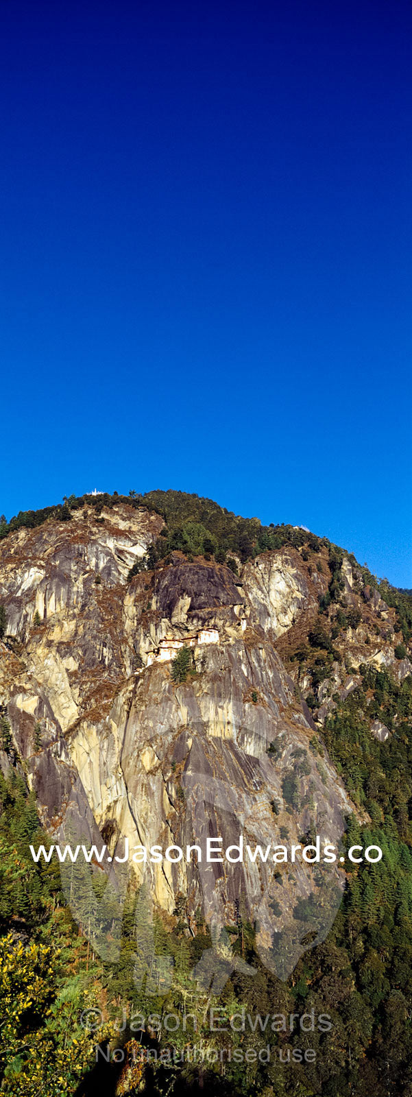 An ancient Buddhist monastery perched on a sheer cliff face above a forested valley in the Himalaya. Paro Taktsang, The Tigers Nest, Paro Valley, Paro District, Bhutan.