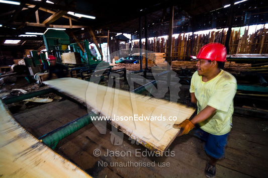 A laborer sliding rainforest timber from a bandsaw in a logging mill. Puerto Masusa, Iquitos, Amazon River, Rio Amazonas, Amazon Basin, Loreto Region, Maynas Province, Peru.