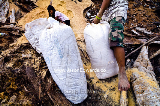 Children work collecting fresh sawdust from the off cuts of an amazonian timber mill. Puerto Masusa, Iquitos, Amazon Basin, Loreto Region, Maynas Province, Peru.