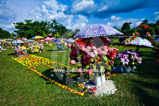 Colorful umbrellas, flower bouquets and wreaths shade pet graves in a cemetery. Iquitos, Amazon Basin, Loreto Region, Maynas Province, Peru.