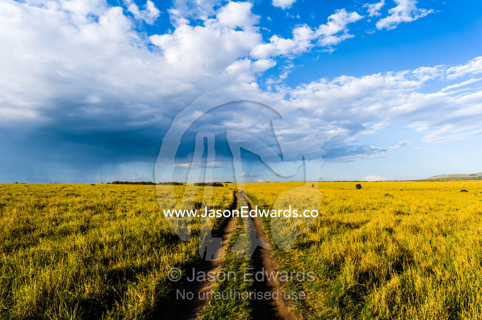 A set of 4wd vehicle tracks disappear across a savannah plain towards the horizon at sunset. Maasai Mara National Reserve, Narok County, Kenya.