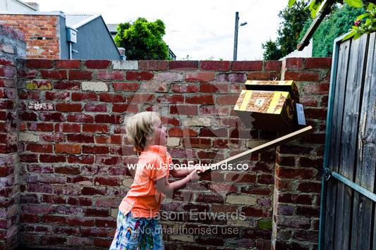 A boy at a birthday party uses a stick to try and break open a pinata shaped like a pirates treasure chest. Carlton North, Melbourne, Victoria, Australia.