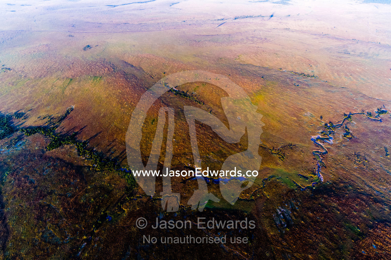 Dawn highlights erosion from a river winding it's way across the vast African short grass savannah plains. Maasai Mara National Reserve, Masai Mara, Narok County, Kenya.