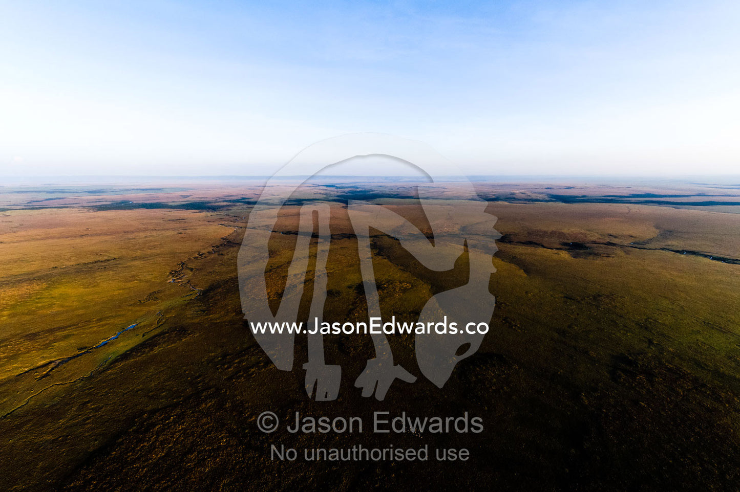 An aerial view of erosion from rivers creating forks and folds in the flat savannah plain. Maasai Mara National Reserve, Masai Mara, Narok County, Kenya.