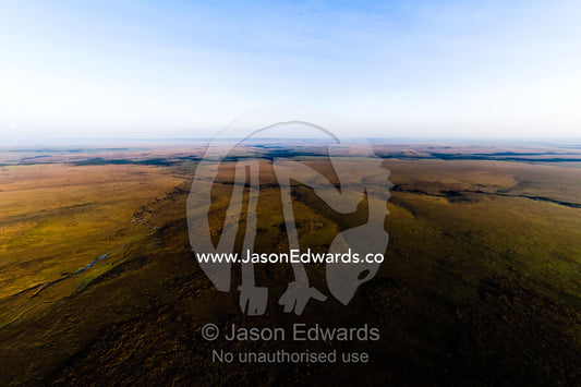 An aerial view of erosion from rivers creating forks and folds in the flat savannah plain. Maasai Mara National Reserve, Masai Mara, Narok County, Kenya.