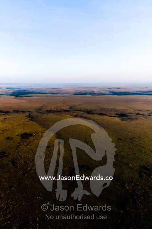 An aerial view of erosion from rivers creating forks and folds in the flat savannah plain. Maasai Mara National Reserve, Masai Mara, Narok County, Kenya.