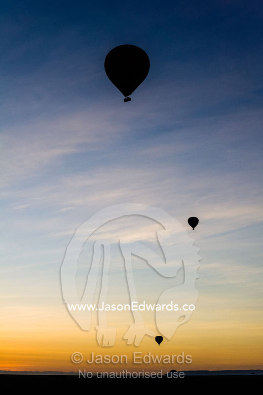The silhouette of hot air balloons rising into the pre-dawn sky above the dark African savannah plain. Maasai Mara National Reserve, Masai Mara, Narok County, Kenya.