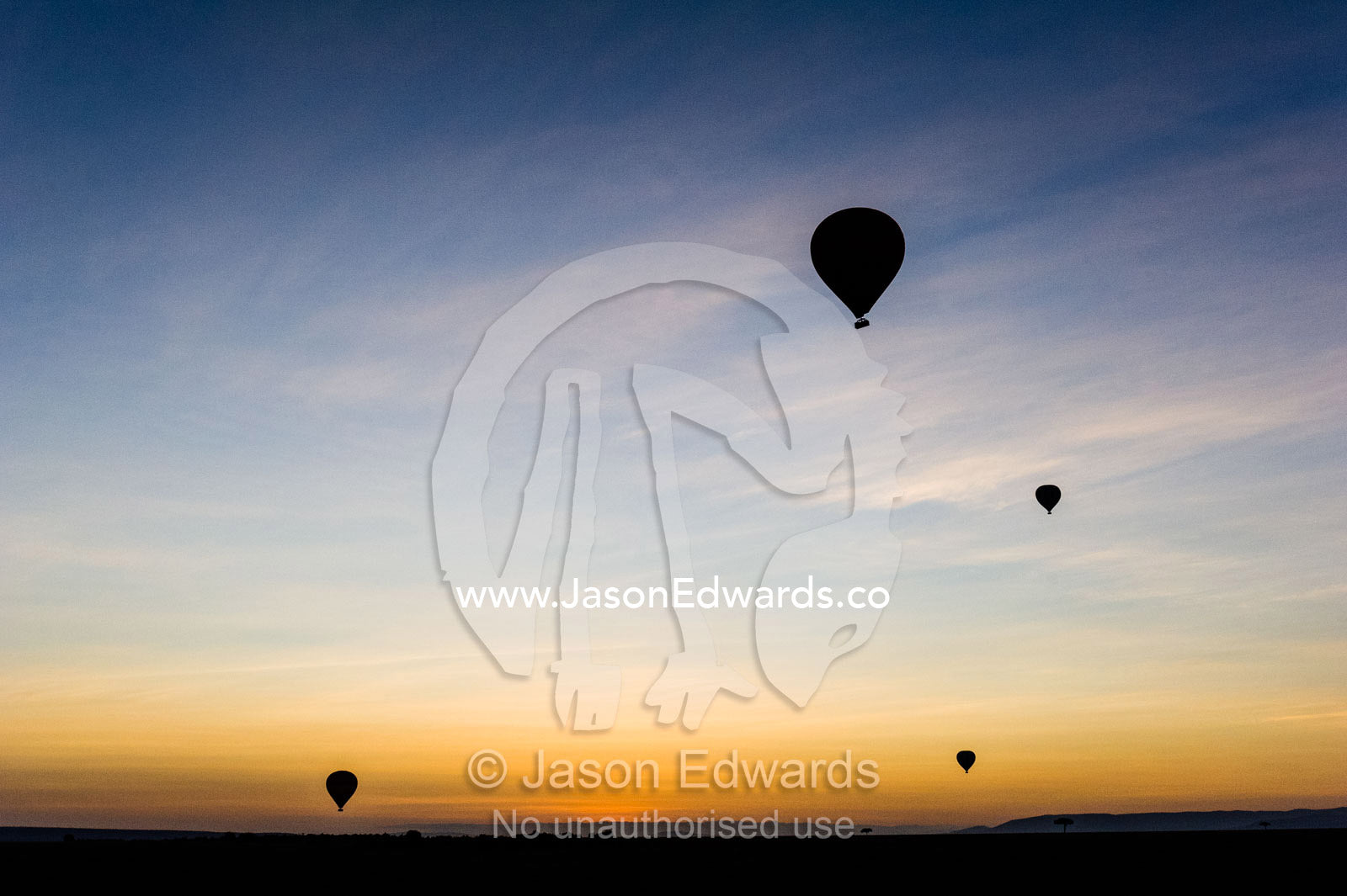The silhouette of hot air balloons rising into the pre-dawn sky above the dark African savannah plain. Maasai Mara National Reserve, Masai Mara, Narok County, Kenya.