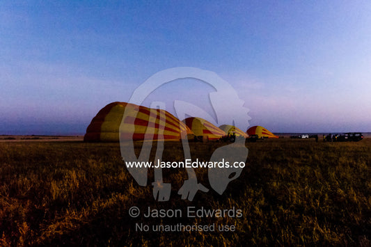 A row of hot air balloons on the African savannah waiting to be inflated for tourist flights. Maasai Mara National Reserve, Masai Mara, Narok County, Kenya.