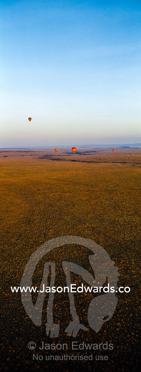 A group of hot air balloons floating over the vast short grass plains of the African savannah. Maasai Mara National Reserve, Masai Mara, Narok County, Kenya.