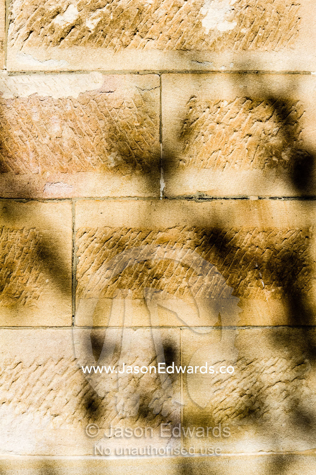 The shadows of leaves cast onto a sunlit sandstone wall. The Sydney Mint, Sydney, New South Wales, Australia.
