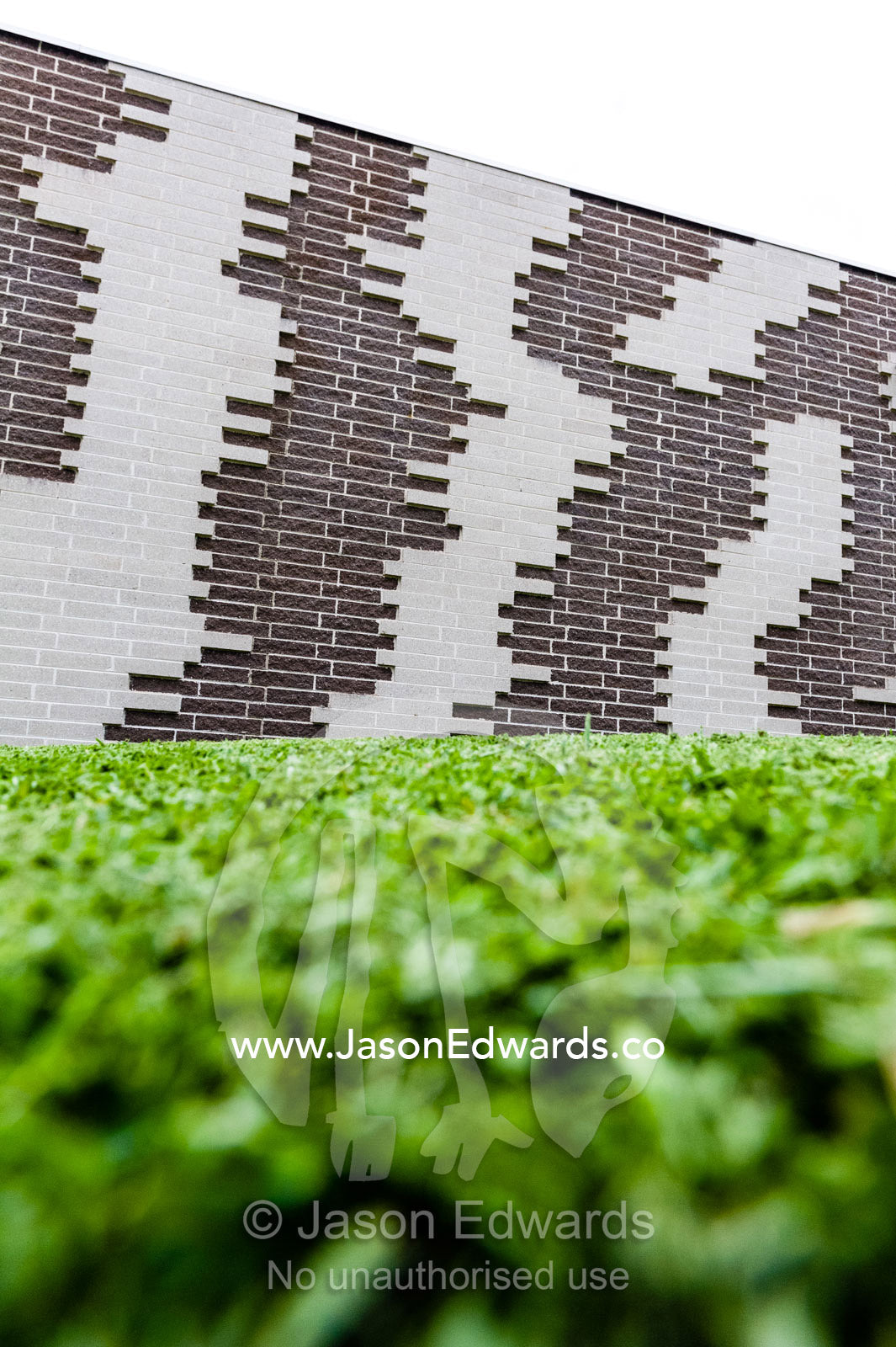 An ants view looking across a grass lawn up to a garden wall. Healesville Sanctuary, Healesville, Victoria, Australia.