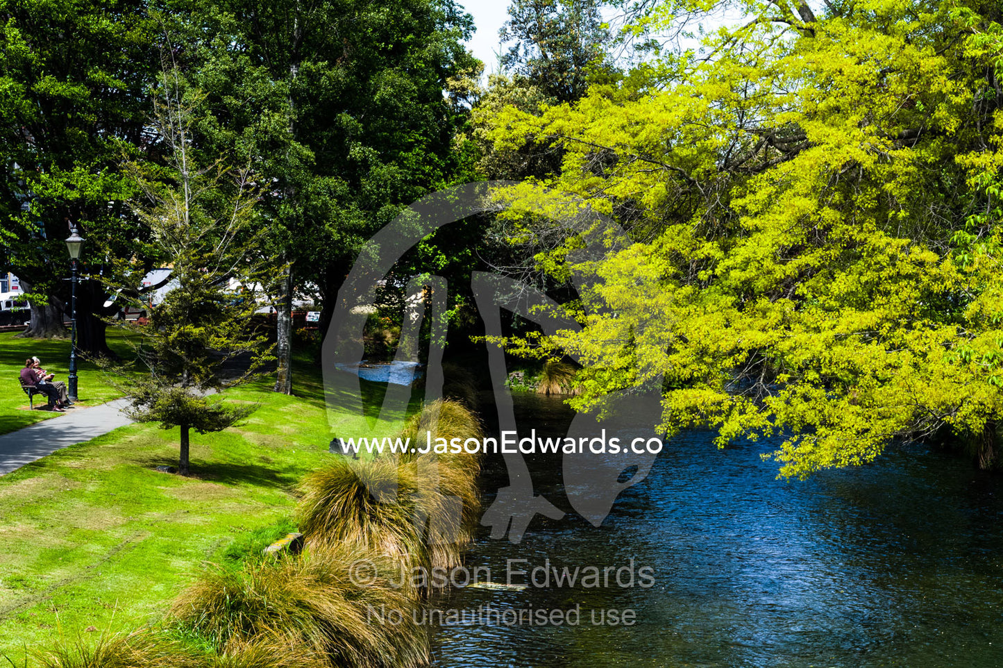 The Avon River flows through a park filled with large trees. Avon River, Christchurch, South Island, New Zealand.