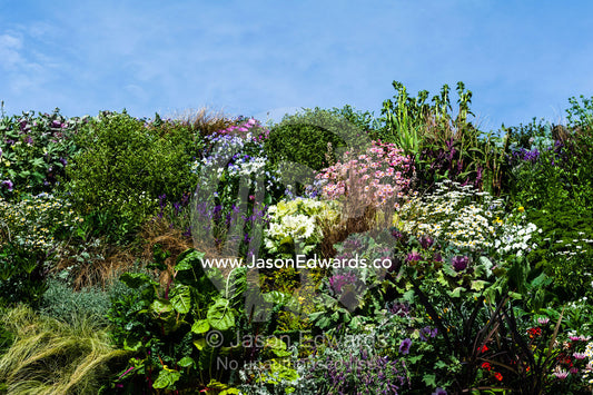 Lush and colourful vertical gardens filled with flowers and vegetables in a city square after an earthquake. Christchurch, South Island, New Zealand.