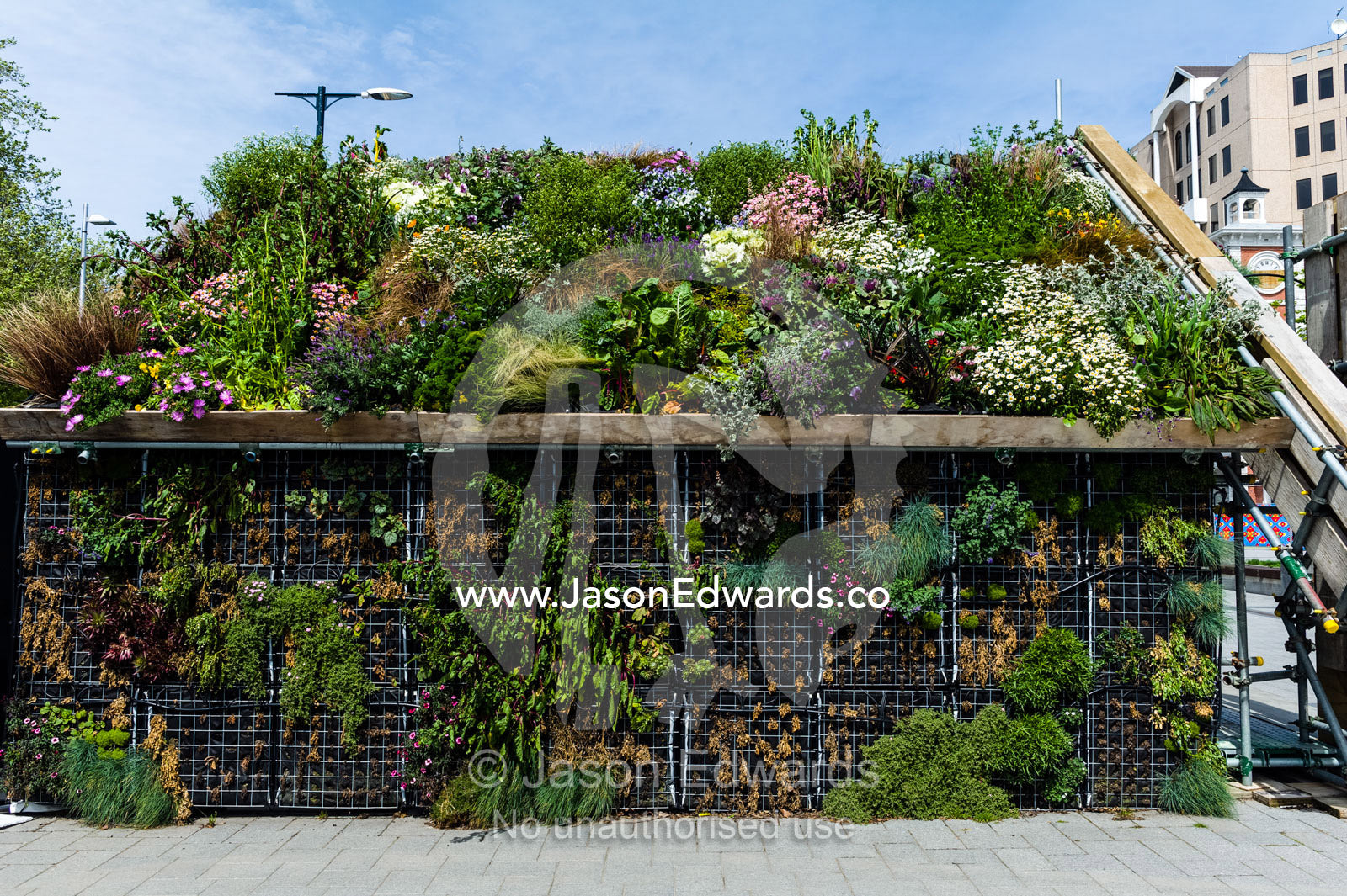 Lush and colourful vertical gardens filled with flowers and vegetables in a city square after an earthquake. Christchurch, South Island, New Zealand.
