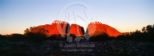 On the desert plain a row of ochre sandstone domes blazing red at sunset. Uluru Kata Tjuta National Park, Northern Territory, Australia.