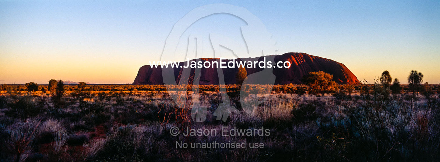 The first sunrays of dawn touch the sandstone massive of Uluru on the desert plain. Uluru Kata Tjuta National Park, Northern Territory, Australia.