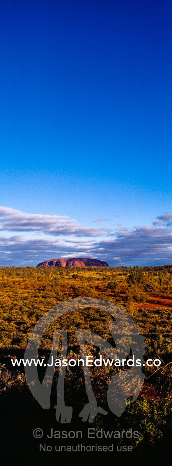 The vast desert plain of the Australian outback dwarfs the dome of Uluru on the horizon. Uluru Kata Tjuta National Park, Northern Territory, Australia.