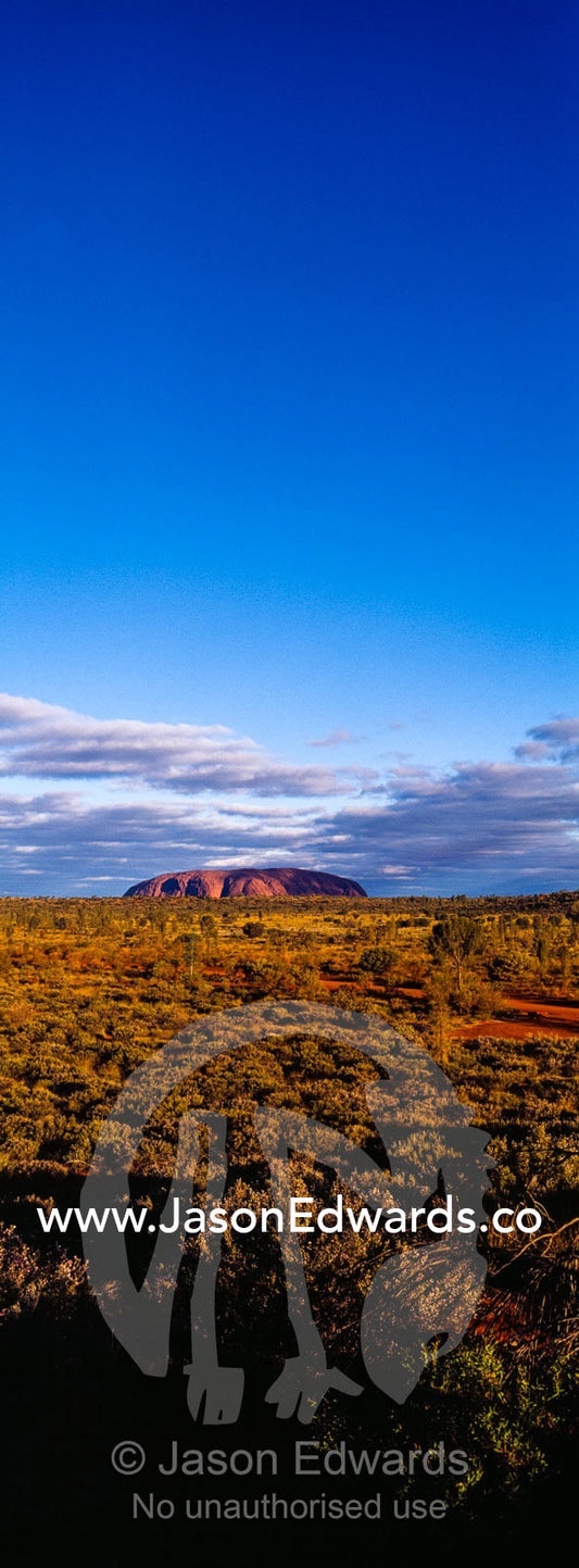 The vast desert plain of the Australian outback dwarfs the dome of Uluru on the horizon. Uluru Kata Tjuta National Park, Northern Territory, Australia.