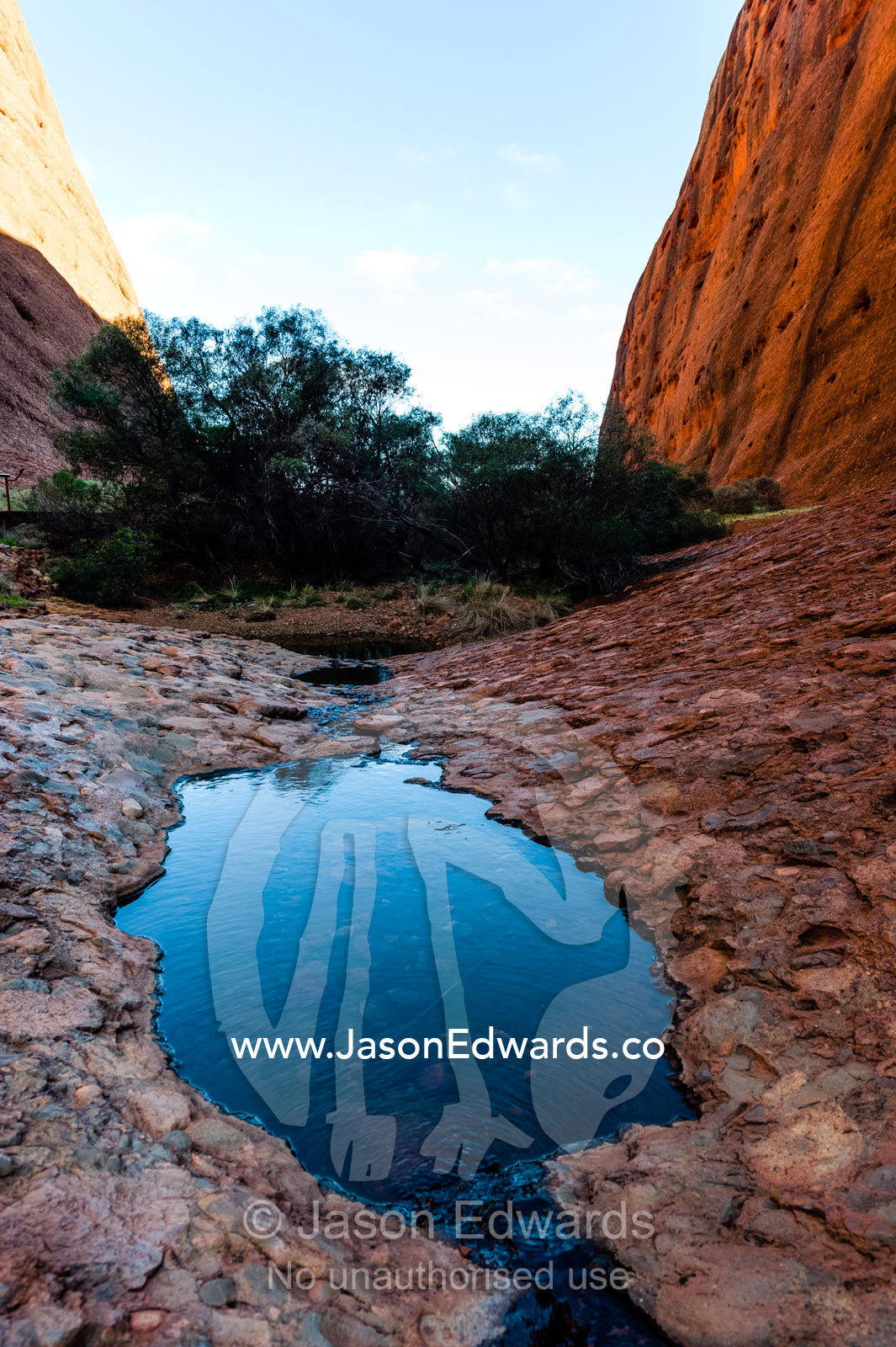 Small pools of freshwater in sandstone gorges in the desert, an oasis for wildlife and plants. Uluru Kata Tjuta National Park, Northern Territory, Australia.