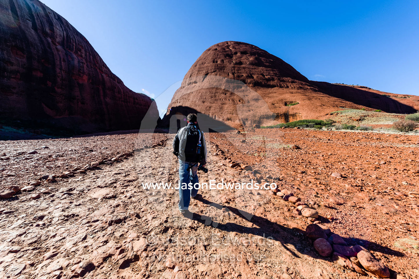 A hiker explores the sandstone domes of Kata Tjuta in the Australian outback. Uluru Kata Tjuta National Park, Northern Territory, Australia.