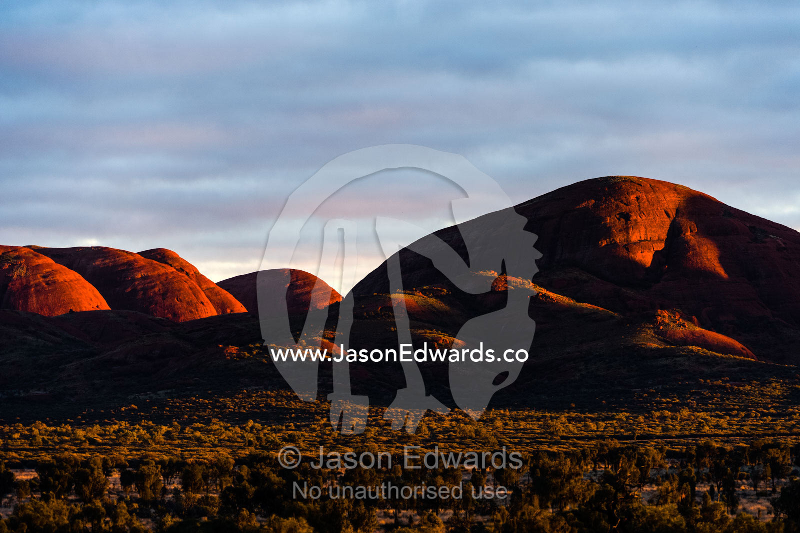 A row of ochre sandstone domes and gorges blaze red in the dawn sunlight. Uluru Kata Tjuta National Park, Northern Territory, Australia.