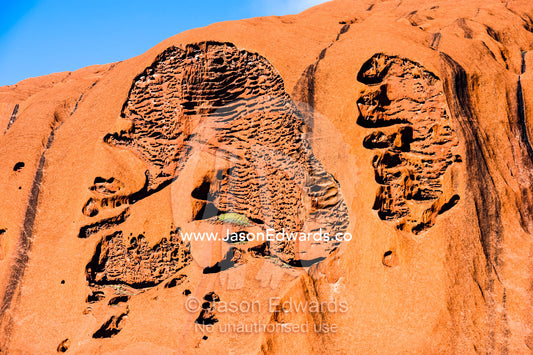 Folds, holes and fissures caused by water and wind erosion in the sandstone surface of Uluru. Uluru Kata Tjuta National Park, Northern Territory, Australia.