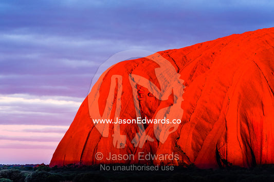 Sunlight casts shadows in the folds and fissures of the blood red sandstone of Uluru at sunset. Uluru Kata Tjuta National Park, Northern Territory, Australia.