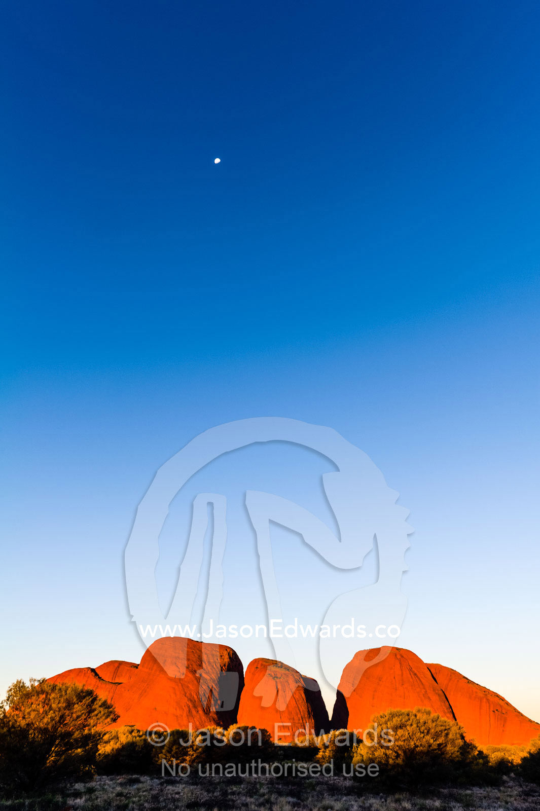 Moonrise in a clear twilight sky climbs over the baking ochre domes of Kata Tjuta. Uluru Kata Tjuta National Park, Northern Territory, Australia.