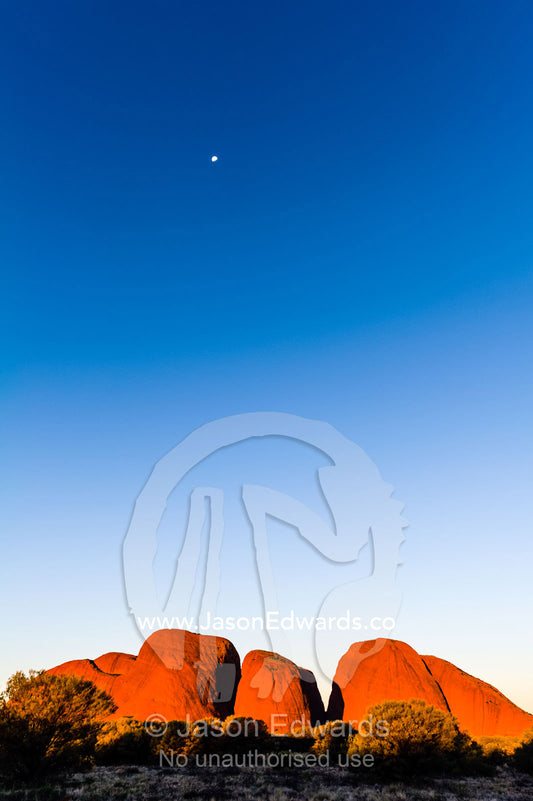 Moonrise in a clear twilight sky climbs over the baking ochre domes of Kata Tjuta. Uluru Kata Tjuta National Park, Northern Territory, Australia.